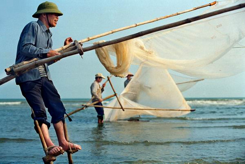 Agriculture net, fishing net